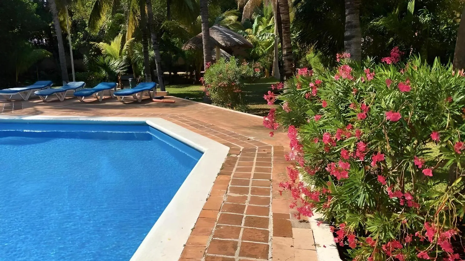 Villas Tropical By Andiani Cancun