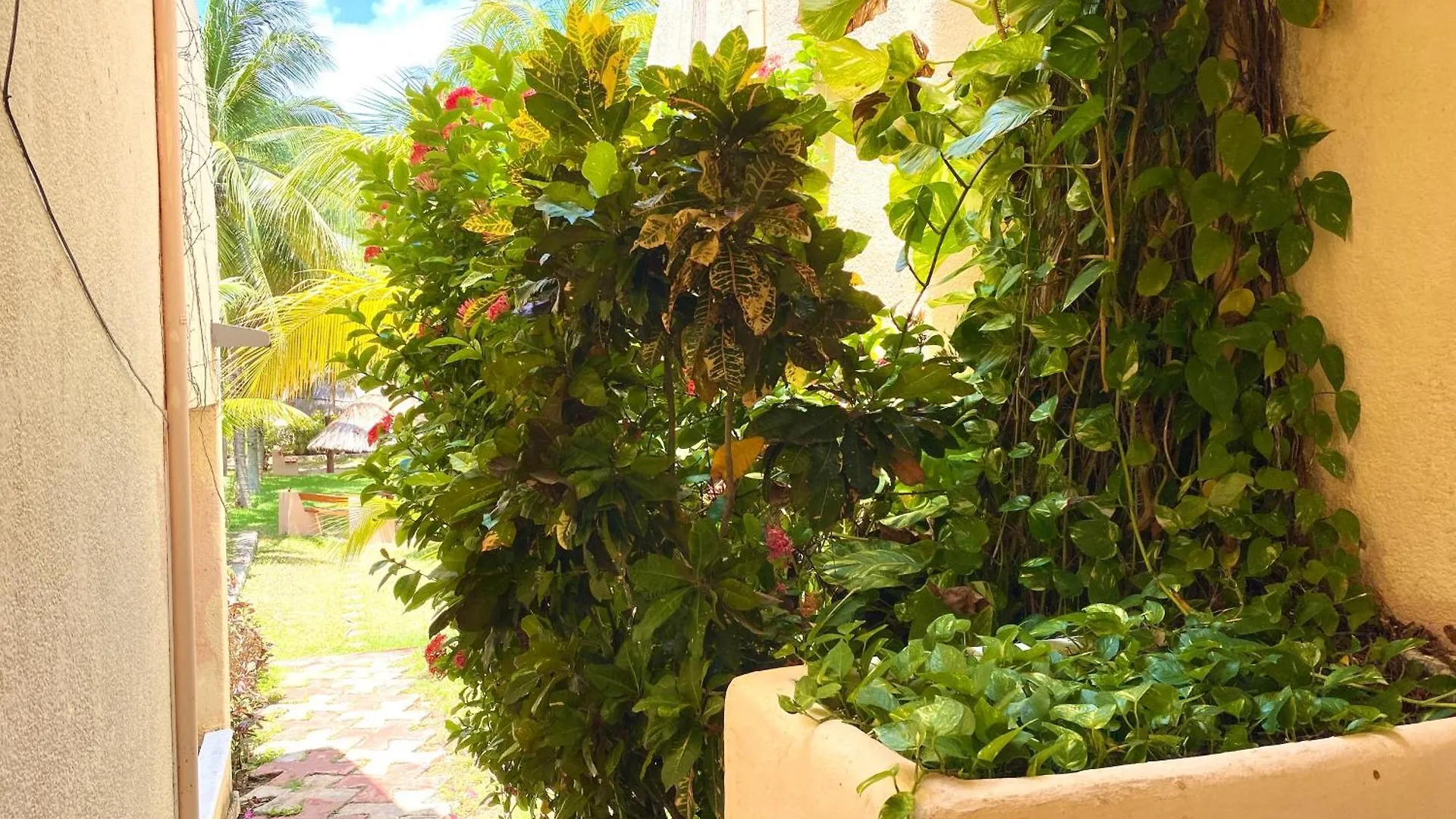 Villas Tropical By Andiani Cancún